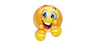 100% customer satisfaction badge